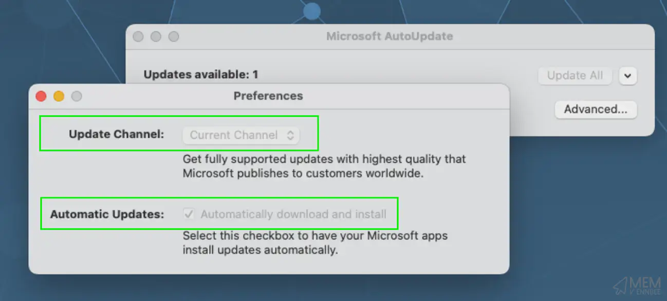Microsoft AutoUpdate settings